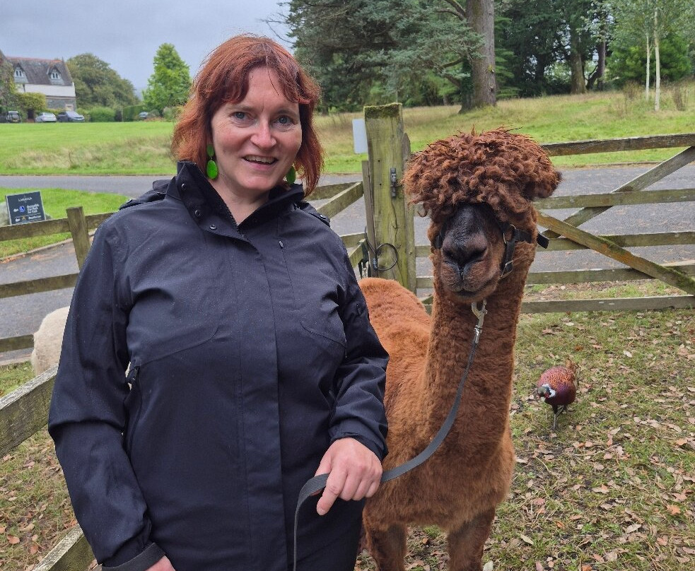 Alpacaly Ever After-Portinscale必去景点