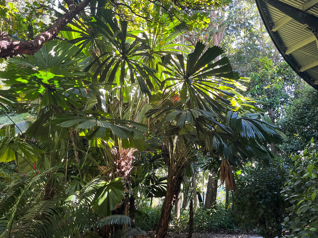 Mackay Regional Botanic Gardens-Mackay必去景点