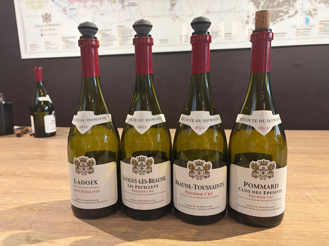 Chateau de Meursault-默尔索必去景点