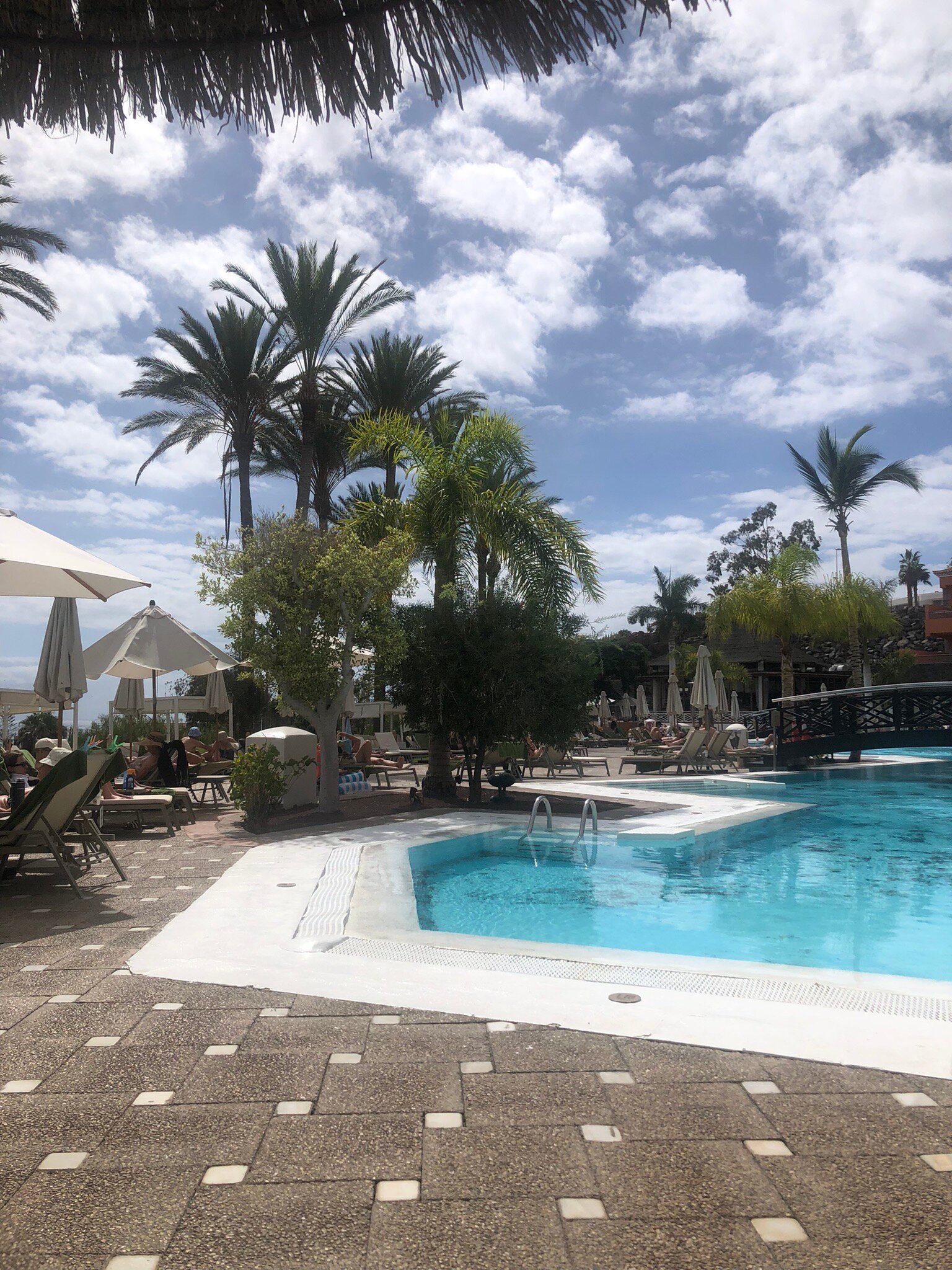 特内里费泰德公园美利亚酒店-旅行者