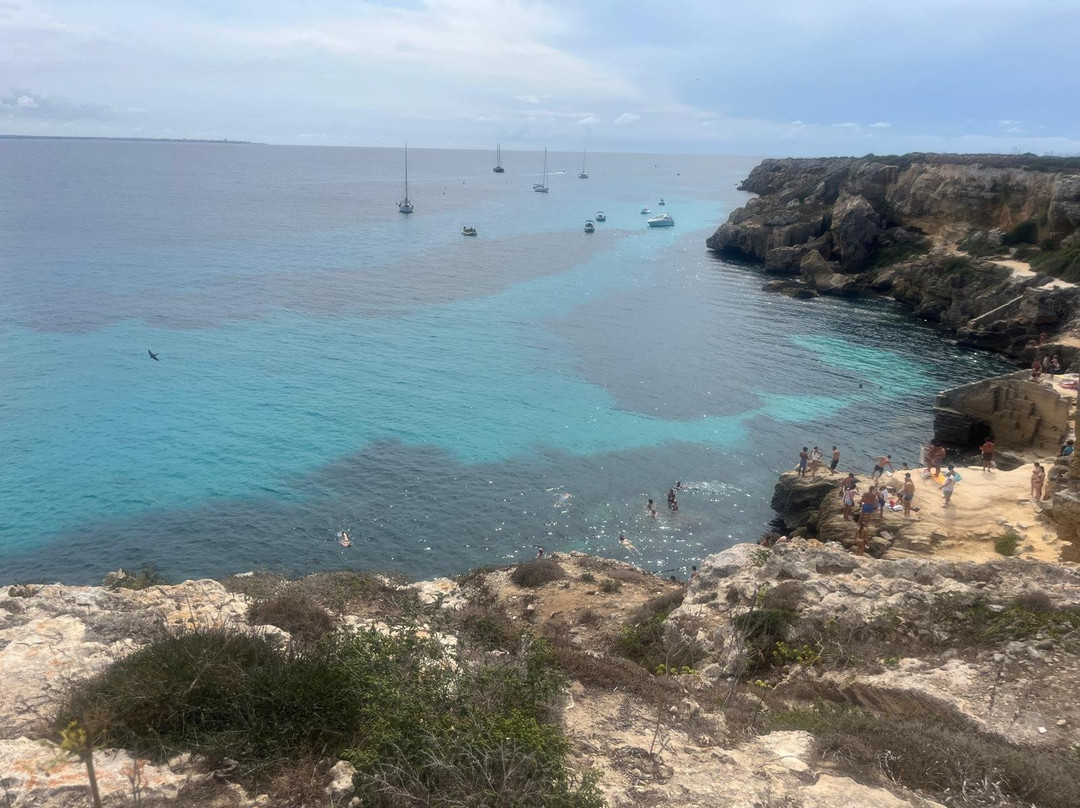 红海湾-法维格纳纳必去景点