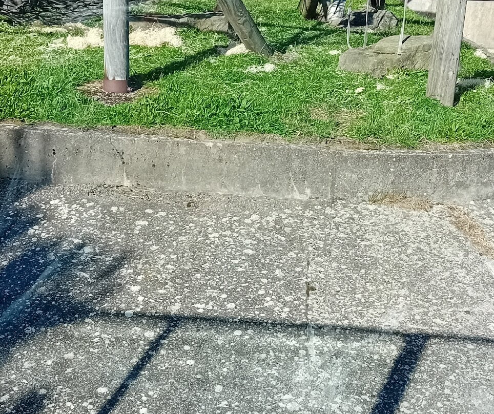 黑池动物园-黑潭必去景点