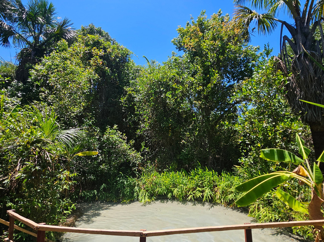Lacos do Jalapao-Jalapao State Park必去景点