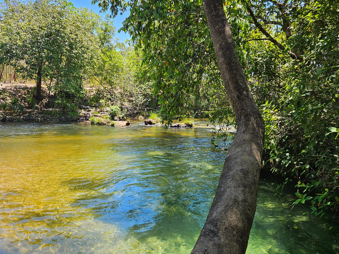 Lacos do Jalapao-Jalapao State Park必去景点