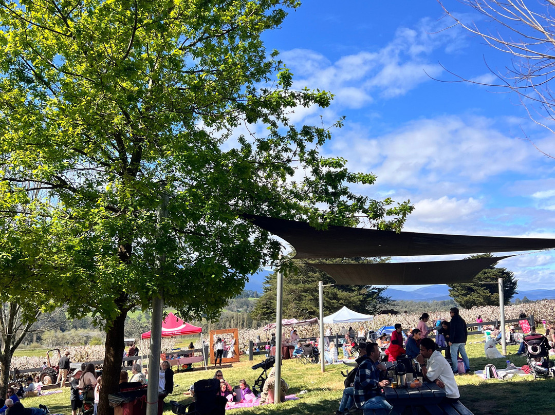 Cherryhill Orchards-Wandin East必去景点