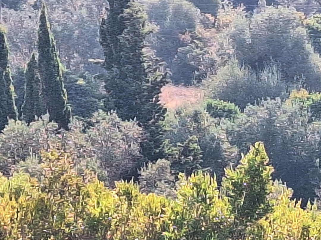 Nema Villas