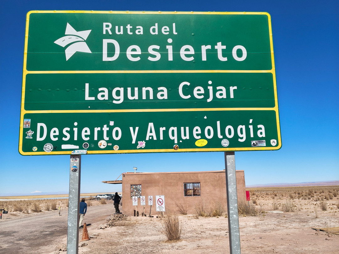 Laguna Cejar-圣佩德罗-德阿塔卡马必去景点