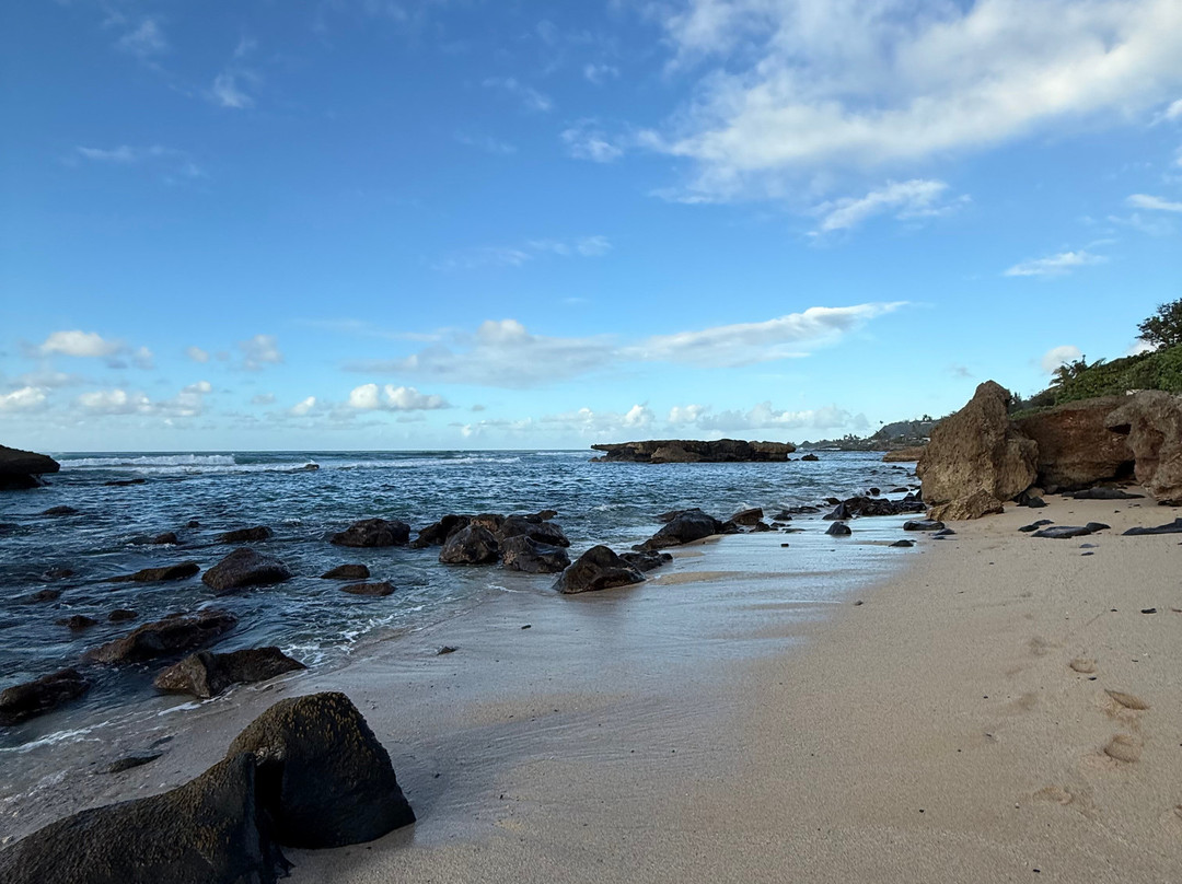Turtle Bay Beach-卡胡库必去景点