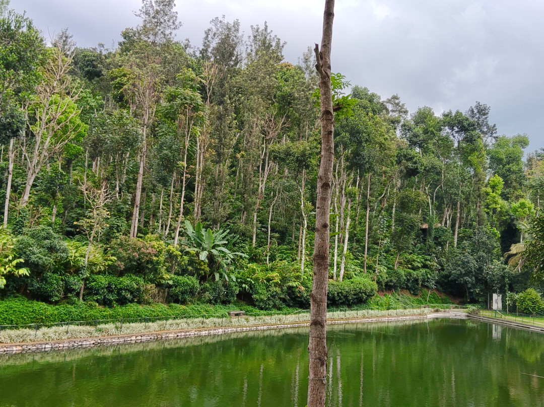 Amaana Plantation Resort主图
