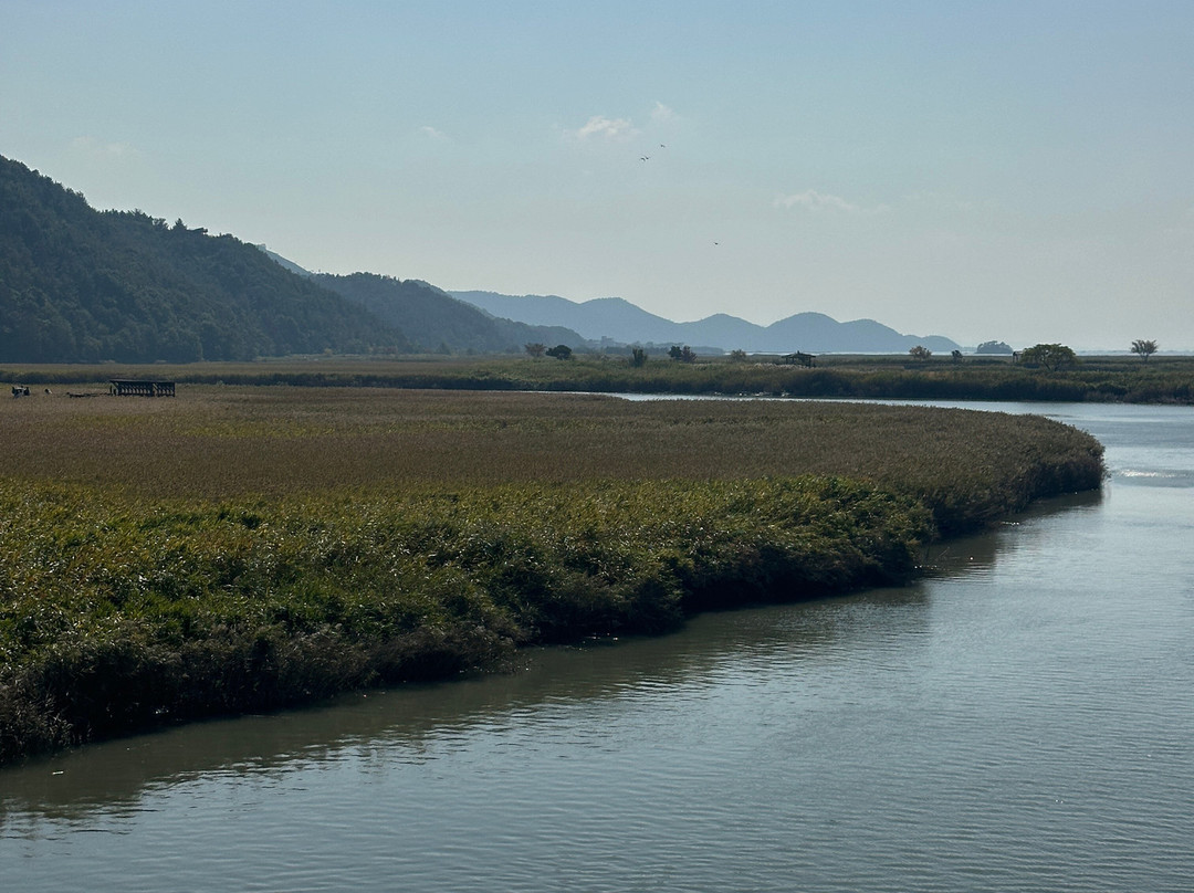 Suncheon Bay Wetland Reserve-顺天市必去景点