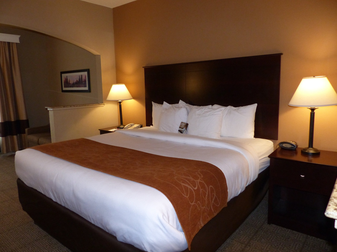Comfort Suites Near Route 66主图