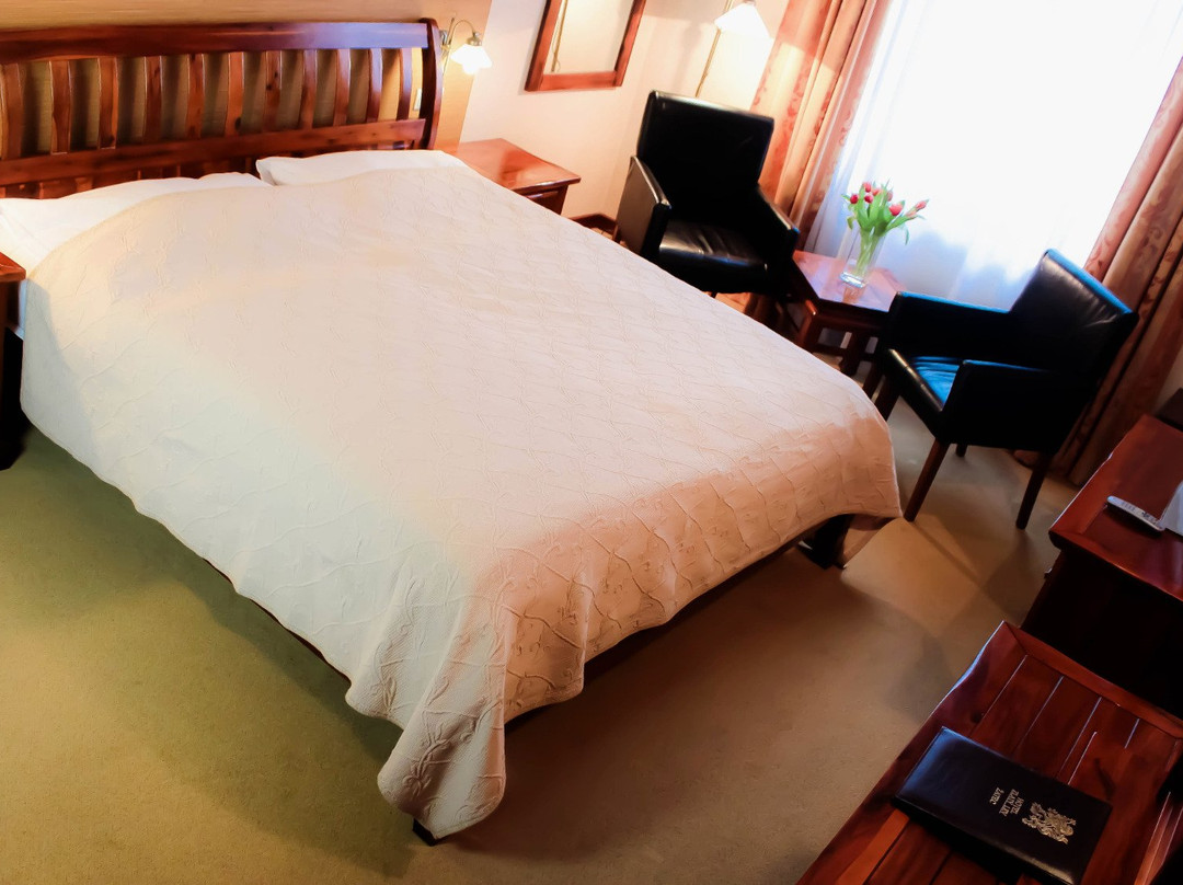 Blsany酒店住宿-Hotel Zlaty Lev Zatec