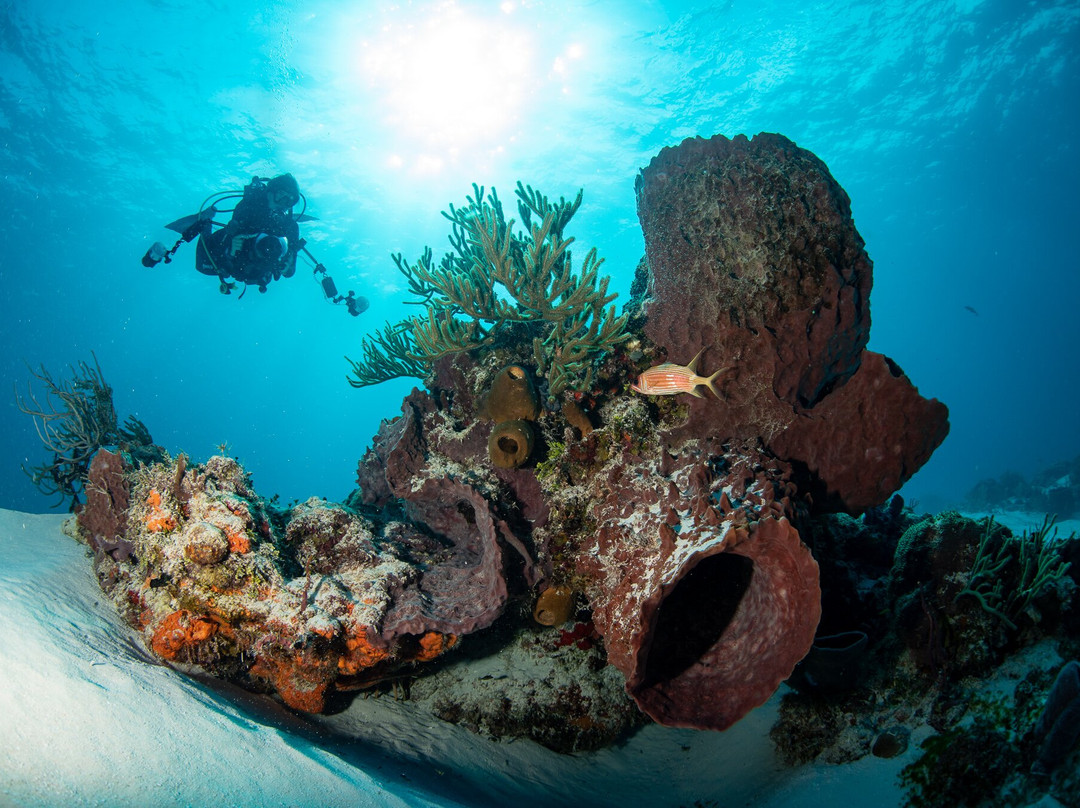 DeepDiveMexico-普拉亚德尔卡曼必去景点