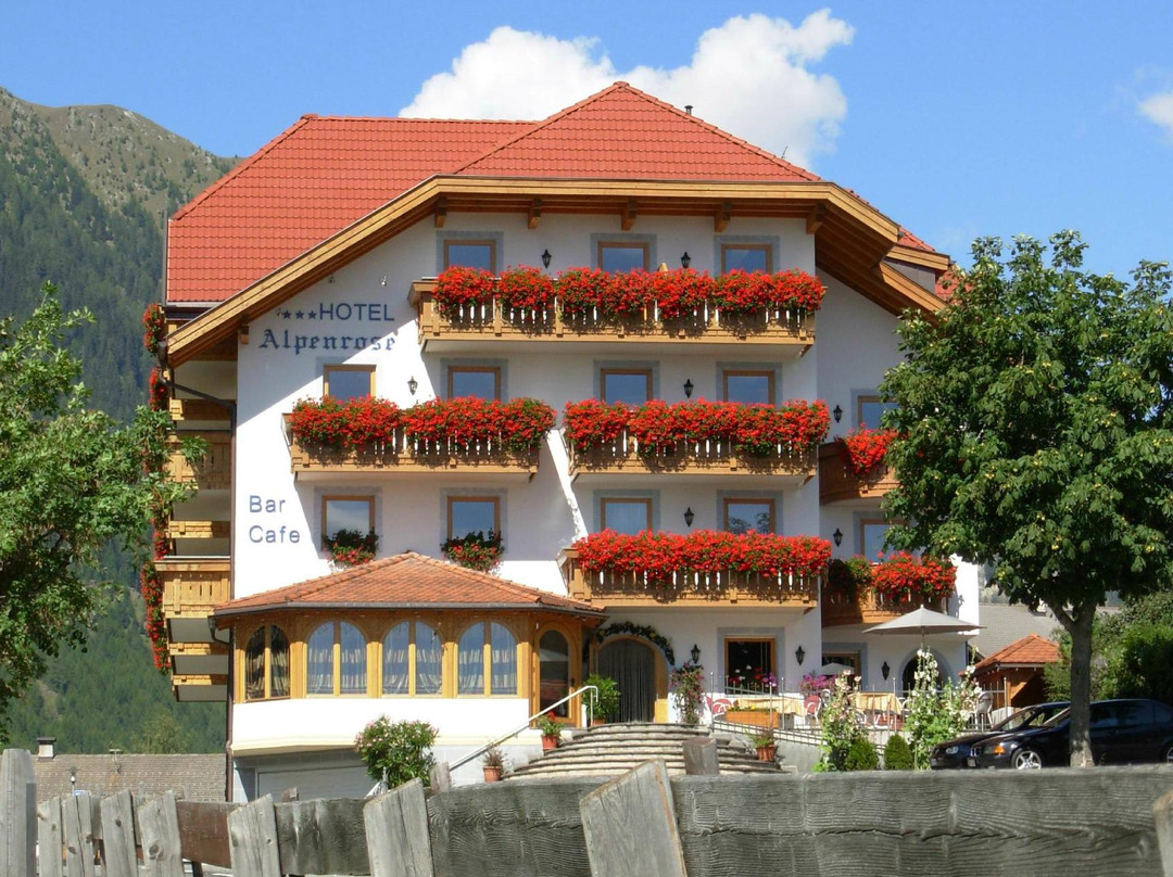 Rio di Pusteria酒店住宿-Hotel Alpenrose