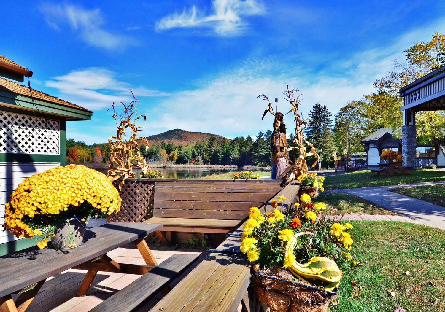 Best Western Saranac Lake-官方