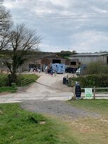 Surfing Cow Gelato-Battisborough Cross必去景点