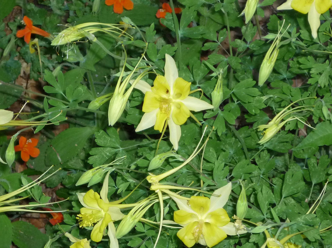 Garden Canyon景点图片