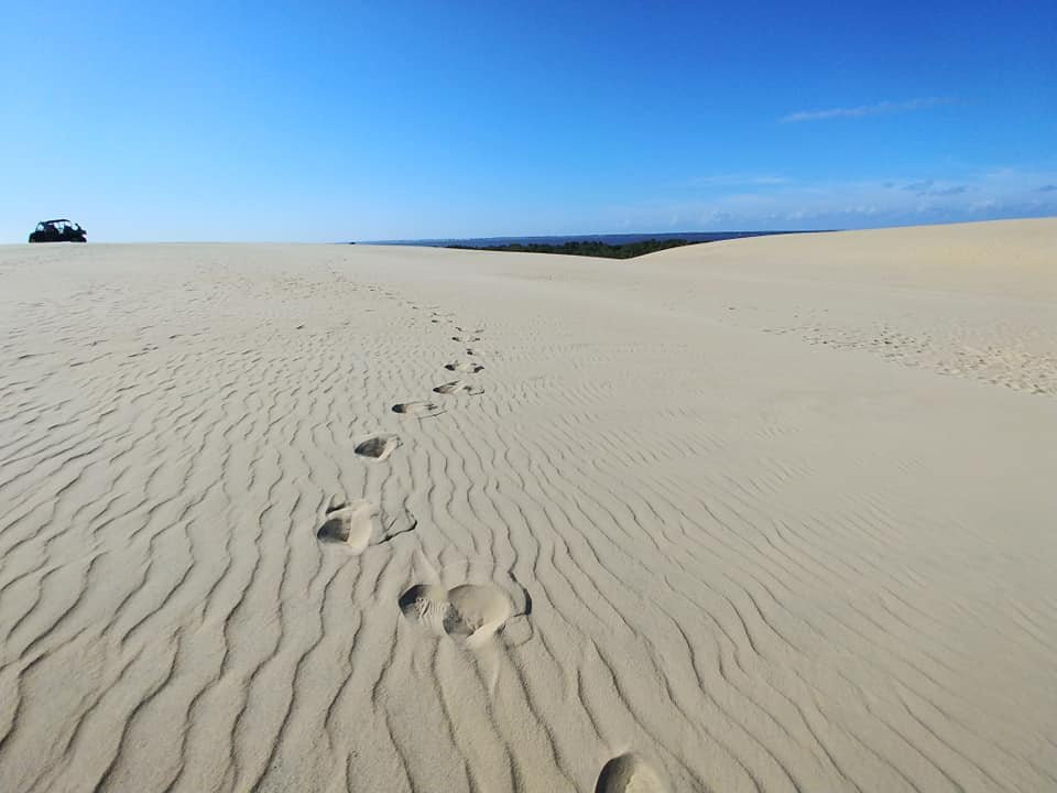 Tracks in the Sand景点图片