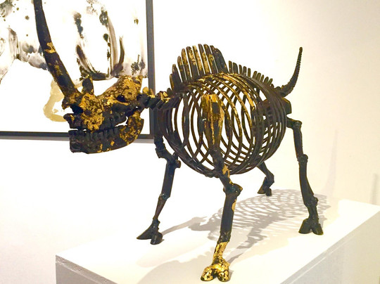 Gerhardt Braun Gallery