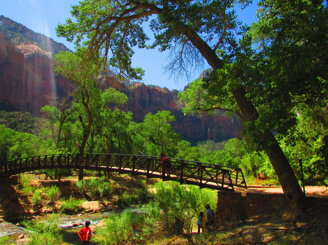 Emerald Pools-锡安国家公园必去景点