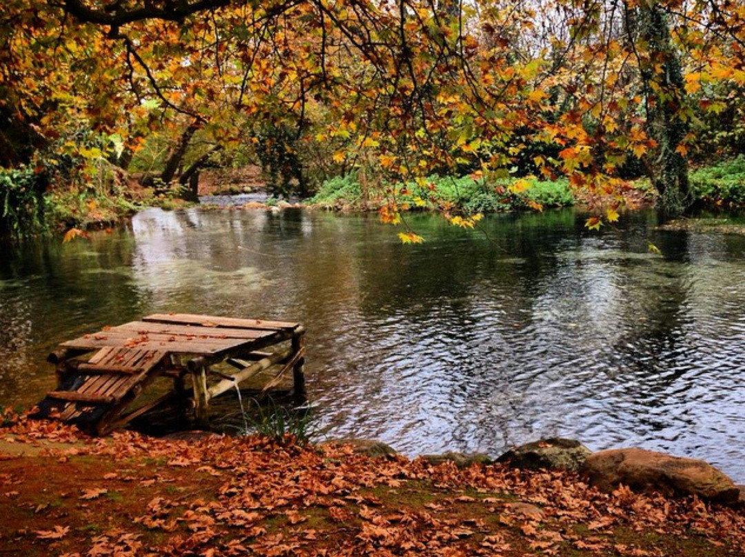 Aravissos旅游攻略图片