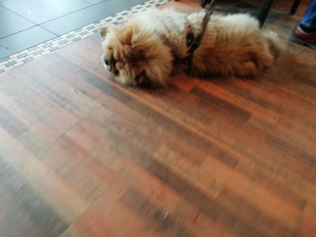 Twelve Cafe Bar, Baildon景点图片