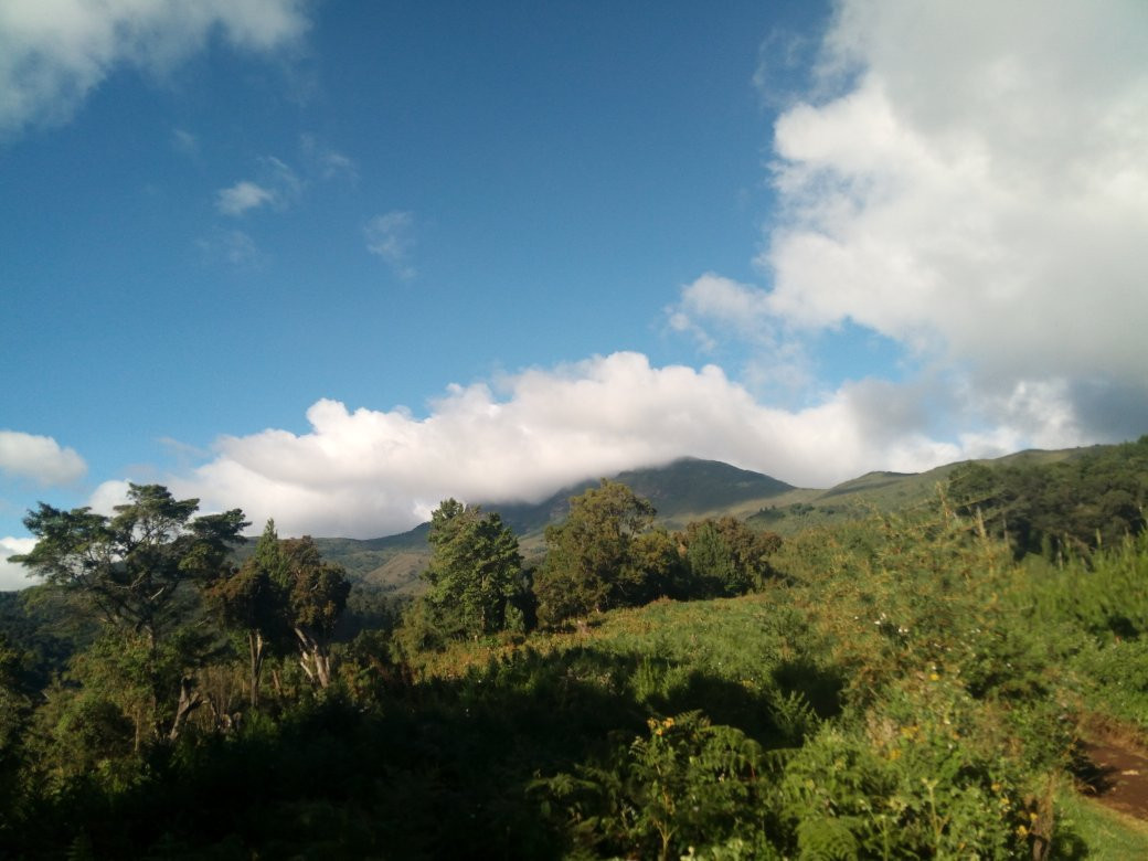 Elephant Hill-内罗毕必去景点