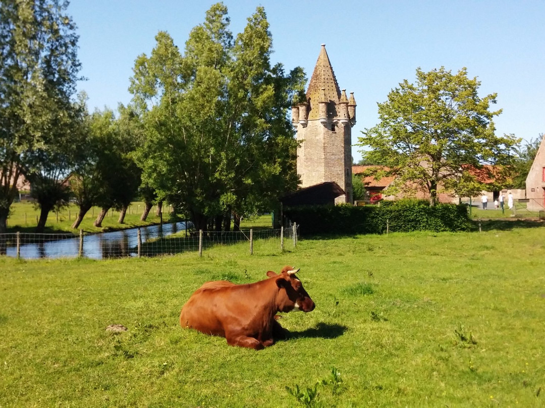 Seven Towers Farm (Zeven Torentjes)景点图片