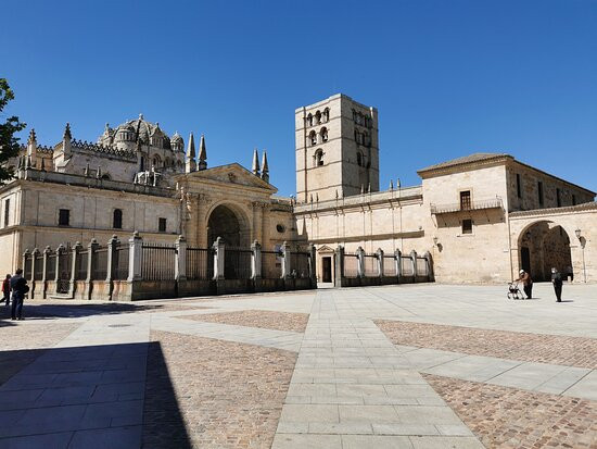 Plaza de la Catedral景点图片