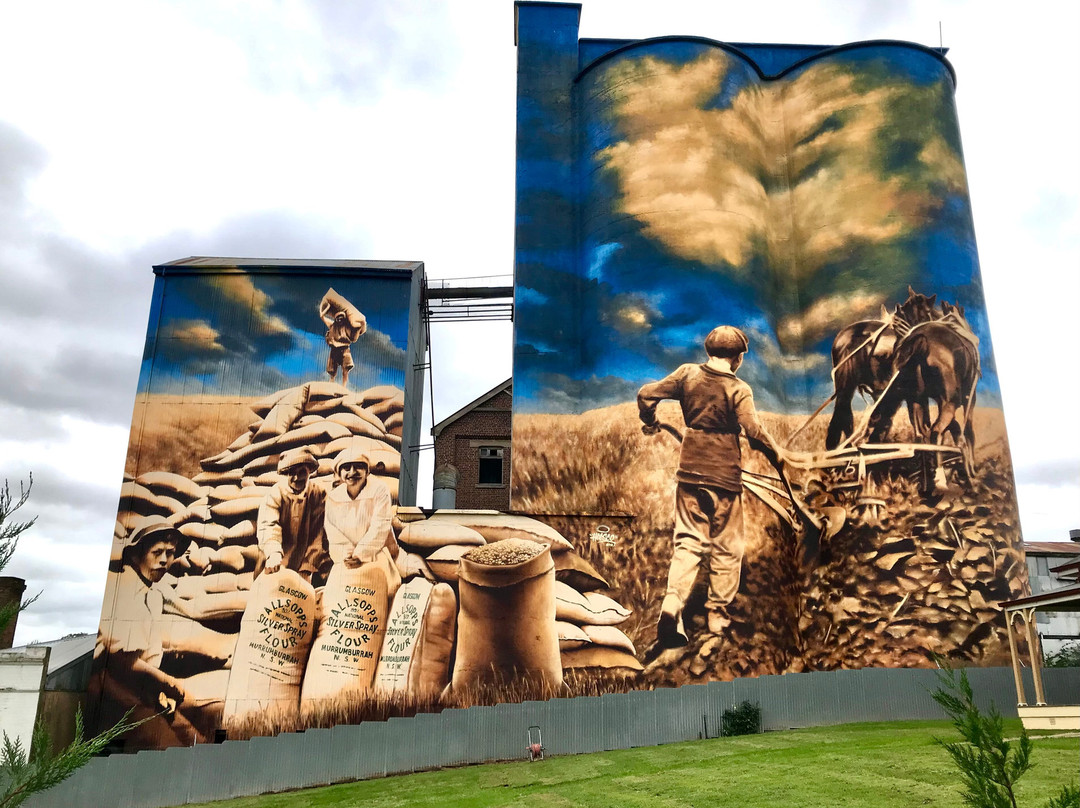 Harden Murrumburrah Visitor Information Centre