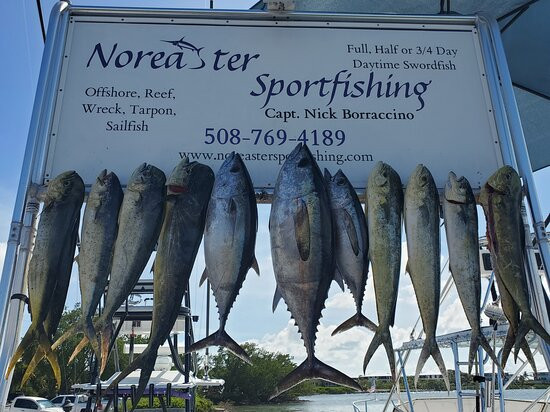 Noreaster Sport Fishing景点图片