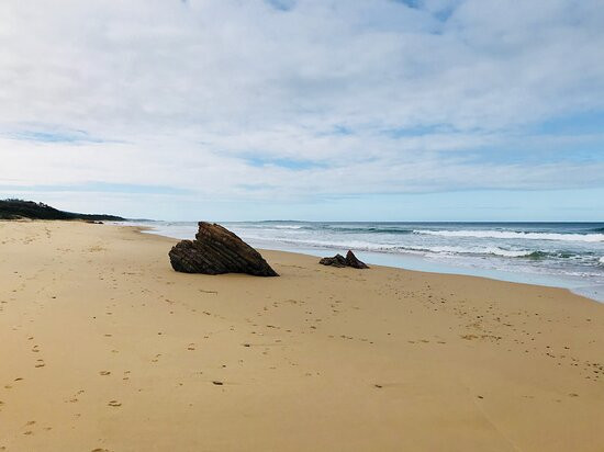 Davis Creek Beach景点图片