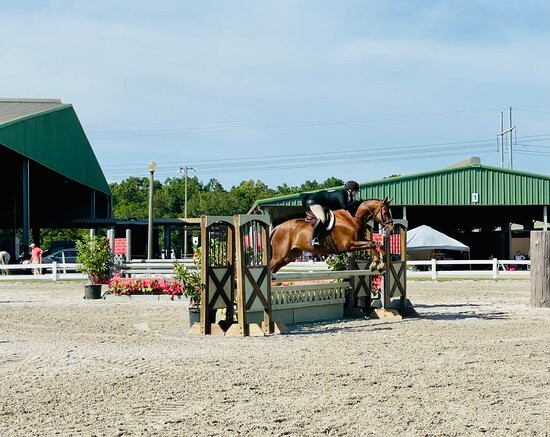 Escambia County Equestrian Center景点图片