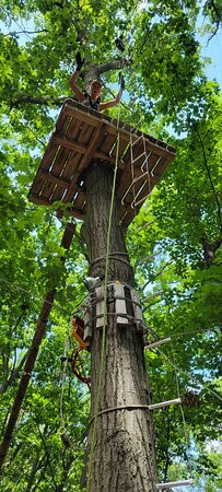 TreeRunner West Bloomfield Adventure Park景点图片