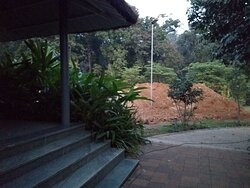 Whistling Woodzs Resort主图