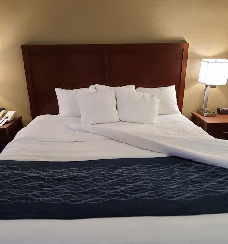 拉格兰奇快捷假日酒店主图