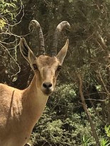 Israël Visite Guidée À La Carte Dans Tout Le Pays-耶路撒冷必去景点