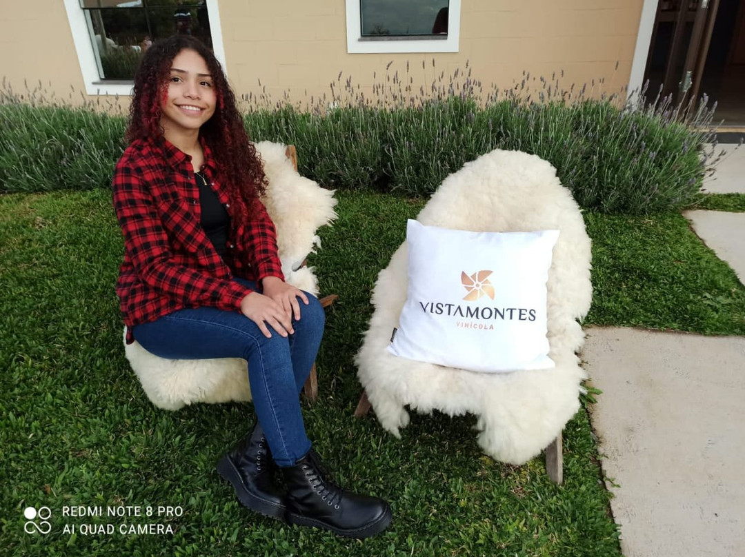 Vistamontes Vinicola-本图贡萨尔维斯必去景点