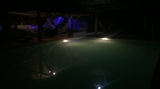 Zenti'k Project主图