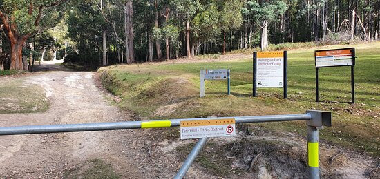 Myrtle Gully Aka Oates Falls景点图片