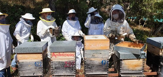 Apibericos,professional beekeepers景点图片