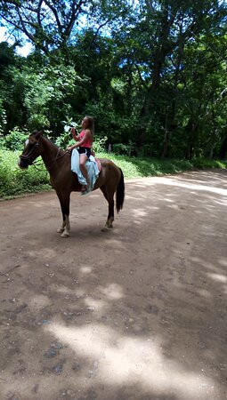 Horses Hiking Conchal Beach景点图片