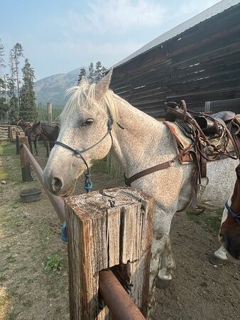 Bear Creek Guest Ranch主图