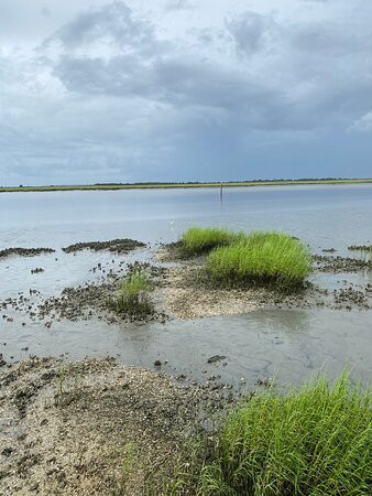 Historic Jekyll Wharf Boat Tours-吉柯岛必去景点
