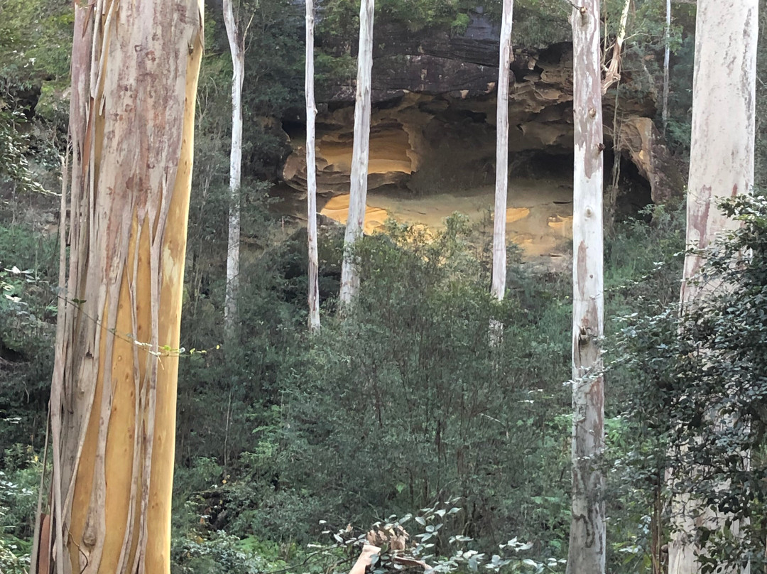 Sun Valley Fire Trail-Valley Heights必去景点