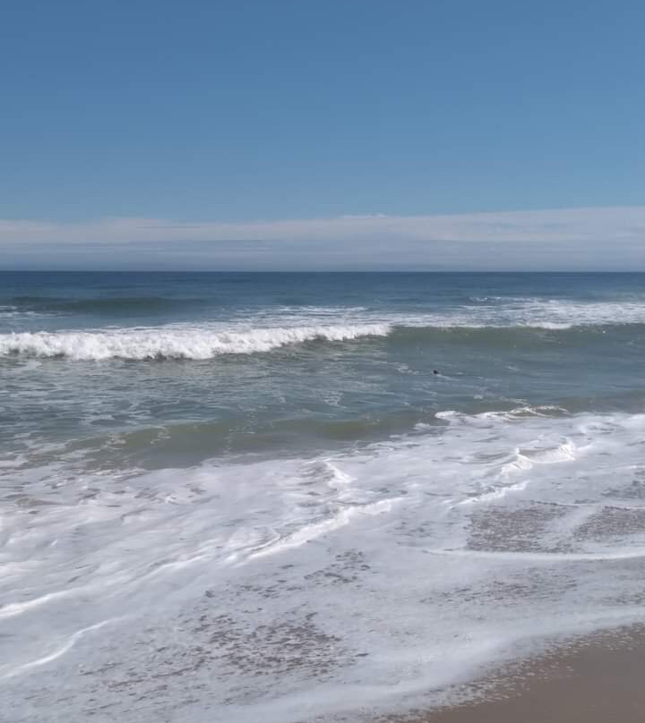 Newcomb Hollow Beach景点图片