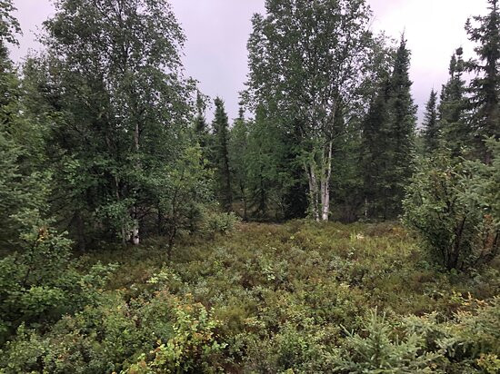 BLM Arctic Circle Monument Sign-费尔班克斯必去景点