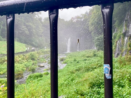 Shiraito Falls (Fujiyoshida)景点图片
