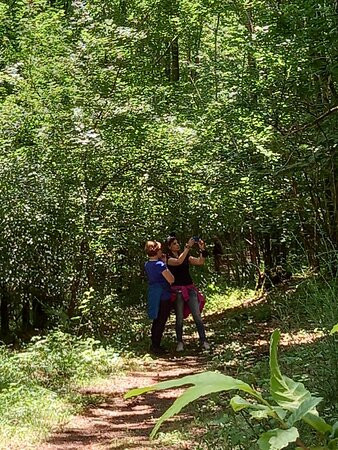 Terapia Forestale Fiuggi-菲乌吉必去景点