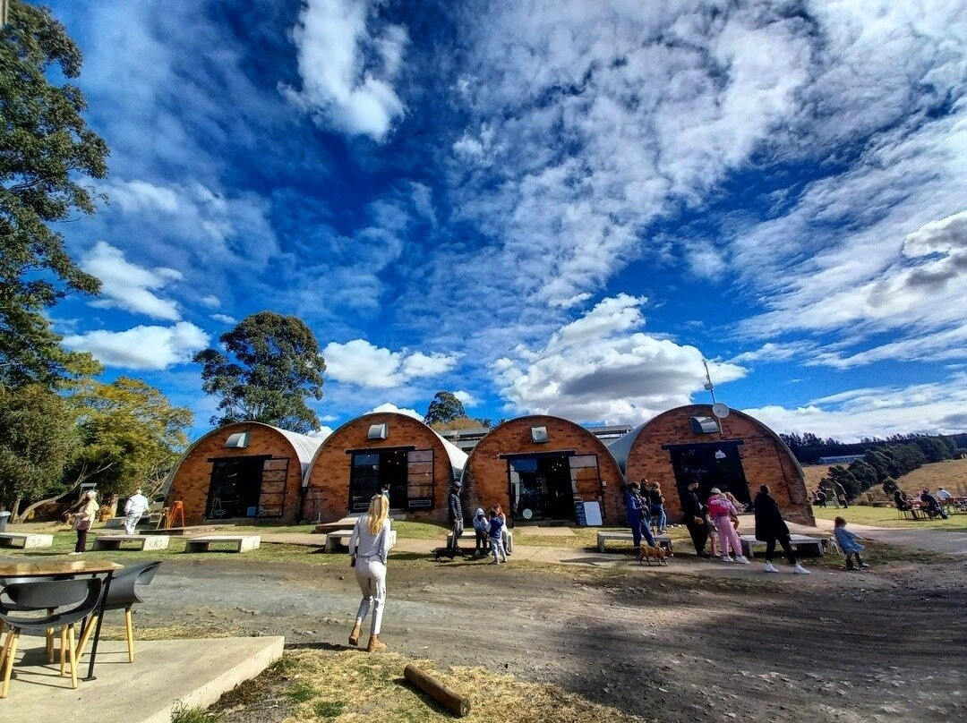 The Old Mushroom Farm景点图片